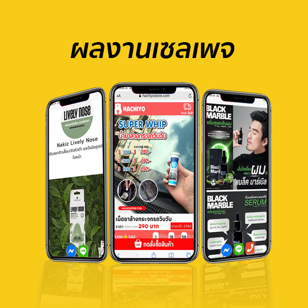 ตัวอย่างเซลเพจ